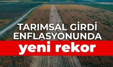 TÜİK açıkladı, tarımsal girdi enflasyonunda yeni rekor