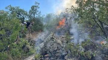 Tunceli'de ormanlık alanda çıkan örtü yangını kontrol altına alındı