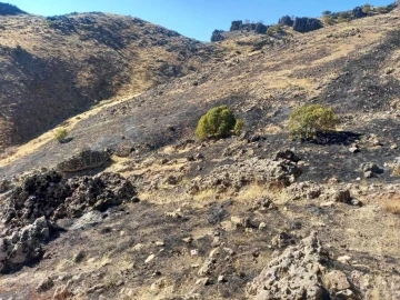 Tunceli’de otluk alandaki yangın kısa sürede söndürüldü
