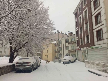 Tunceli’de özlenen kar yağışı başladı
