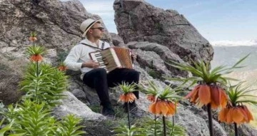 Tunceli’de koruma altındaki ters laleler çiçek açtı