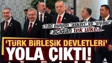 'Türk Birleşik Devletleri' yolda: 180 milyon 'askeri' ve 'siyasi' açıd