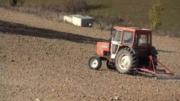 Türkiye’nin en ucuz ekmeği artık bu tarladan çıkacak
