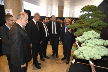 Türkiye’nin ilk Ulusal Bonsai Sergisi Yalova’da açıldı
