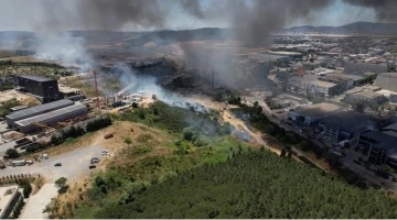 Tuzla’daki fabrika yangını ağaçlık alana sıçradı

