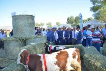 Üniversite Projeleri sonuç verdi ‘Tarla Günü’ etkinliği düzenlendi
