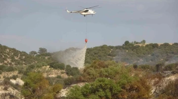 Uşak’ta ormana girişler Eylül sonuna kadar yasaklandı
