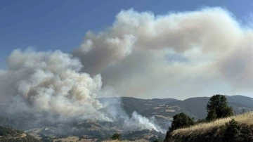 Uşak’ta otluk alanda çıkıp ormanlık alana sıçrayan yangına müdahale devam ediyor
