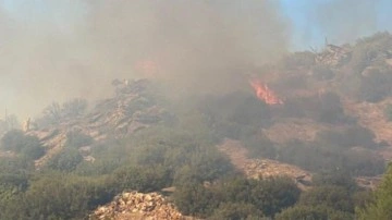 Uşak&rsquo;taki yangınında 5,5 hektar alan kül oldu