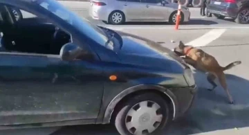 Uyuşturucuyu aracın motor kaputuna zulalamışlar
