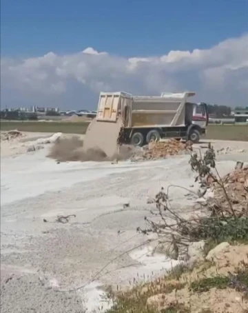 Üzerlerine beton atık suyu dökülen 5 yavru köpekten 3'ü öldü