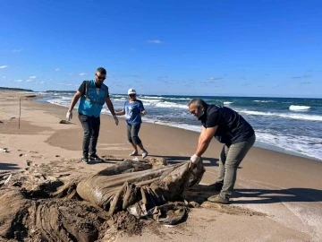 Uzunkum’da kilolarca atık toplandı
