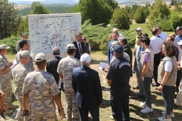 Vali Ali Çelik, Altıntaş ve Dumlupınar ilçelerinde
