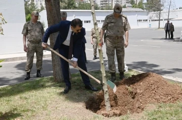 Vali Ayhan Mehmetçik ile birlikte ağaç dikti
