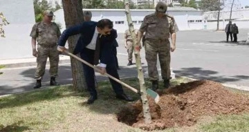 Vali Ayhan Mehmetçik ile birlikte ağaç dikti