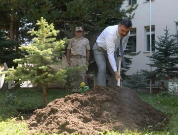 Vali Çiftçi fidan dikti
