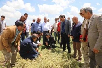 Vali Öksüz, selden zarar gören köylerde incelemelerde bulundu
