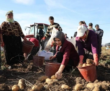 Vali Yiğitbaşı: “Patates üretiminde Türkiye’de üçüncü sıradayız”
