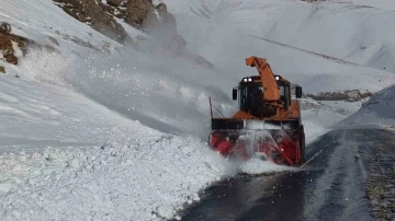 Van Bahçesaray yoluna düşen çığ bölgeleri temizleniyor
