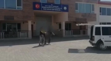 Van’da bir organizatör hakkında işlem yapıldı
