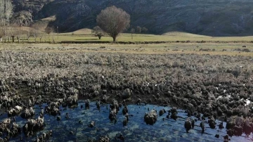 Van Gölü’nde sular çekildi, su altı peribacaları ortaya çıktı
