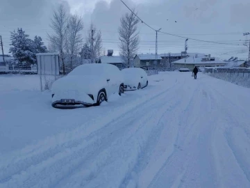 Varto’da hayat durdu: 72 yerleşim yerinin yolu kapandı, okullar 2 gün tatil edildi
