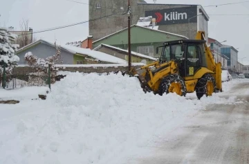 Varto’da kar temizleme çalışması
