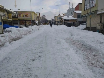 Varto’da karla mücadele çalışması
