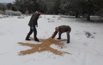 Yaban hayatı unutulmadı
