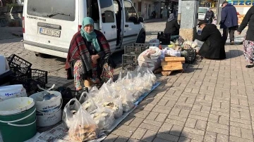 Yaban mantarları köylünün gelir kapısı oldu
