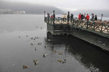 Yaban ördekleri soğuk havaya rağmen Abant’ı mesken tuttu
