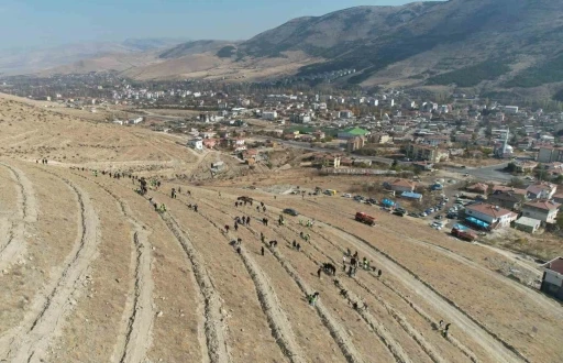 Yahyalı’da binlerce fidan toprakla buluştu
