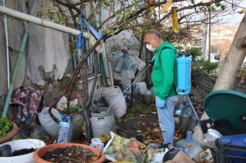 Yalova Belediyesi’nden larva noktalarına ilaçlama
