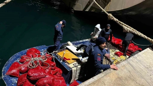 Yalova’da 20 ton kaçak midye ele geçirildi
