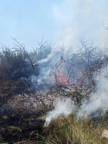 Yalova’da arazi yangını
