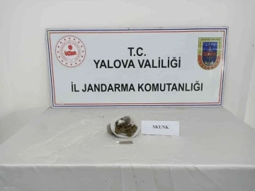 Yalova’da jandarmadan uyuşturucu operasyonları: 6 gözaltı
