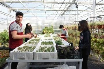 Yalova’da öğrencilerin ürettiği çiçekler e-ticaret sitesinden satılacak
