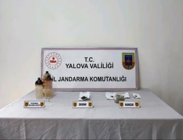 Yalova’da ormanlık alanda uyuşturucu yetiştiren zanlı tutuklandı
