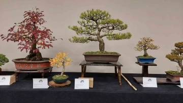 Yalova’da Uluslararası Bonsai Sempozyumu düzenlenecek
