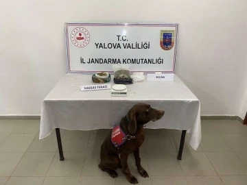 Yalova’da uyuşturucu operasyonu: 1 gözaltı
