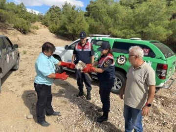 Yaralı bulunan yılan kartalı tedavi altına alındı
