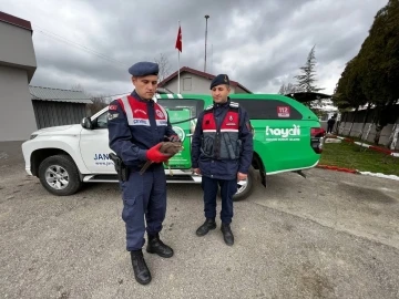 Yaralı doğana jandarma şefkati
