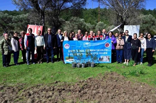 Yarımada kadınları sakız ağacına can katıyor
