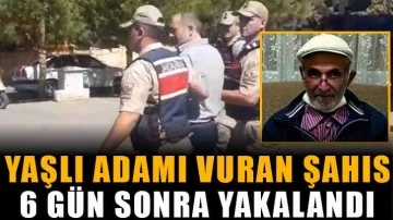 Yaşlı adamı vuran şahıs 6 gün sonra yakalandı