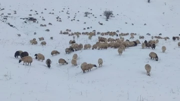 Yaylacıların dönüş yolu çilesi
