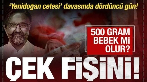 'Yenidoğan çetesi' davasında kan donduran açıklama: 500 gram bebek mi olur çek fişini!