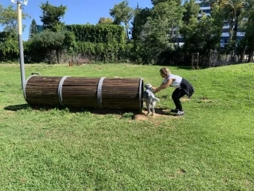 Yenilenen köpek parkı ile candostların keyfi yerinde