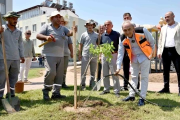 Yenilenen parka ilk ağaç fidanı Kocagöz’den
