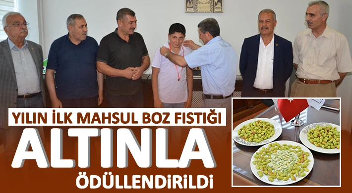 Yılın ilk mahsul boz fıstığı altınla ödüllendirildi 