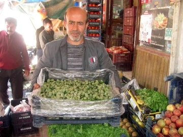 Yılın ilk yerli badem çağlası 25 liradan satışa sunuldu
